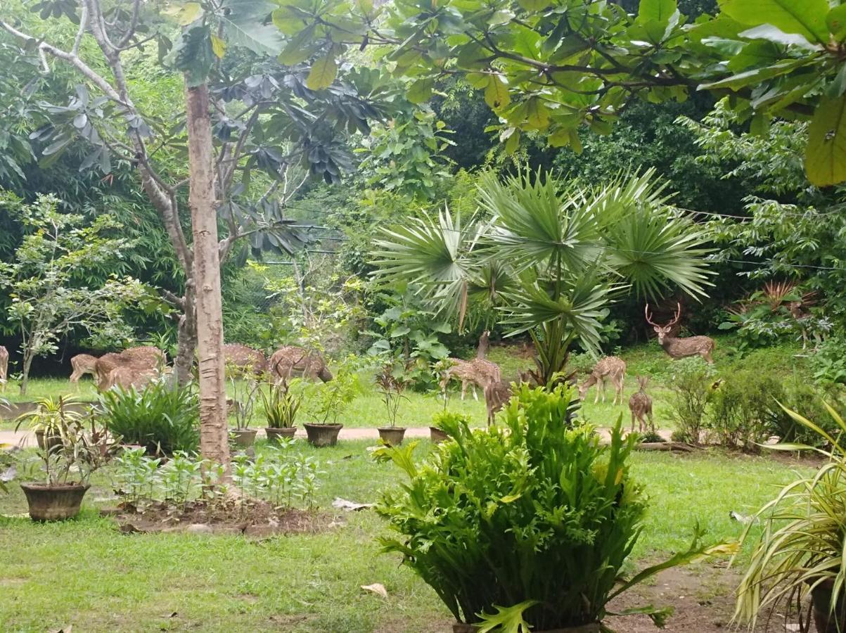 Hotel Deer Garden Guest Polonnaruwa Exterior foto
