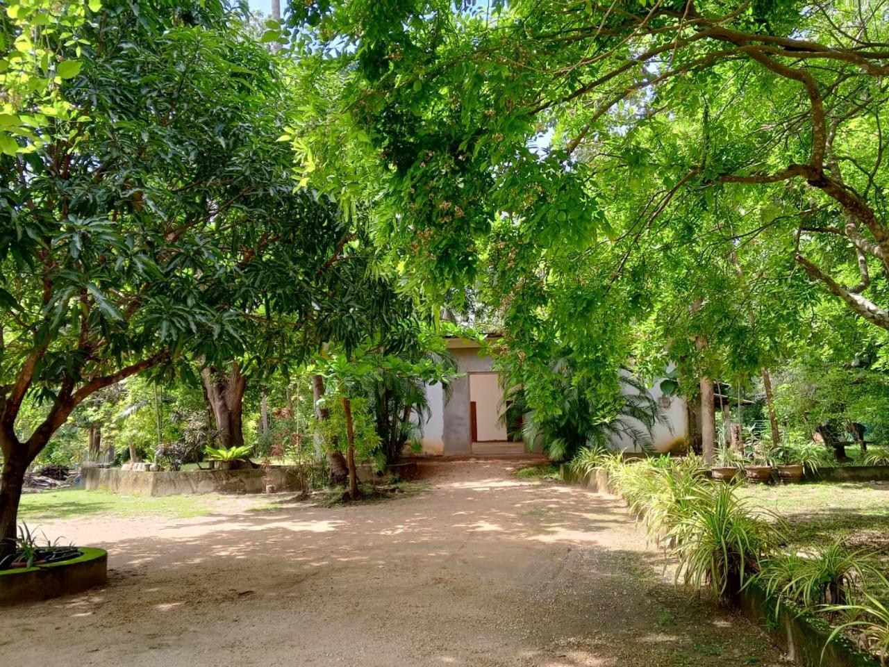 Hotel Deer Garden Guest Polonnaruwa Exterior foto